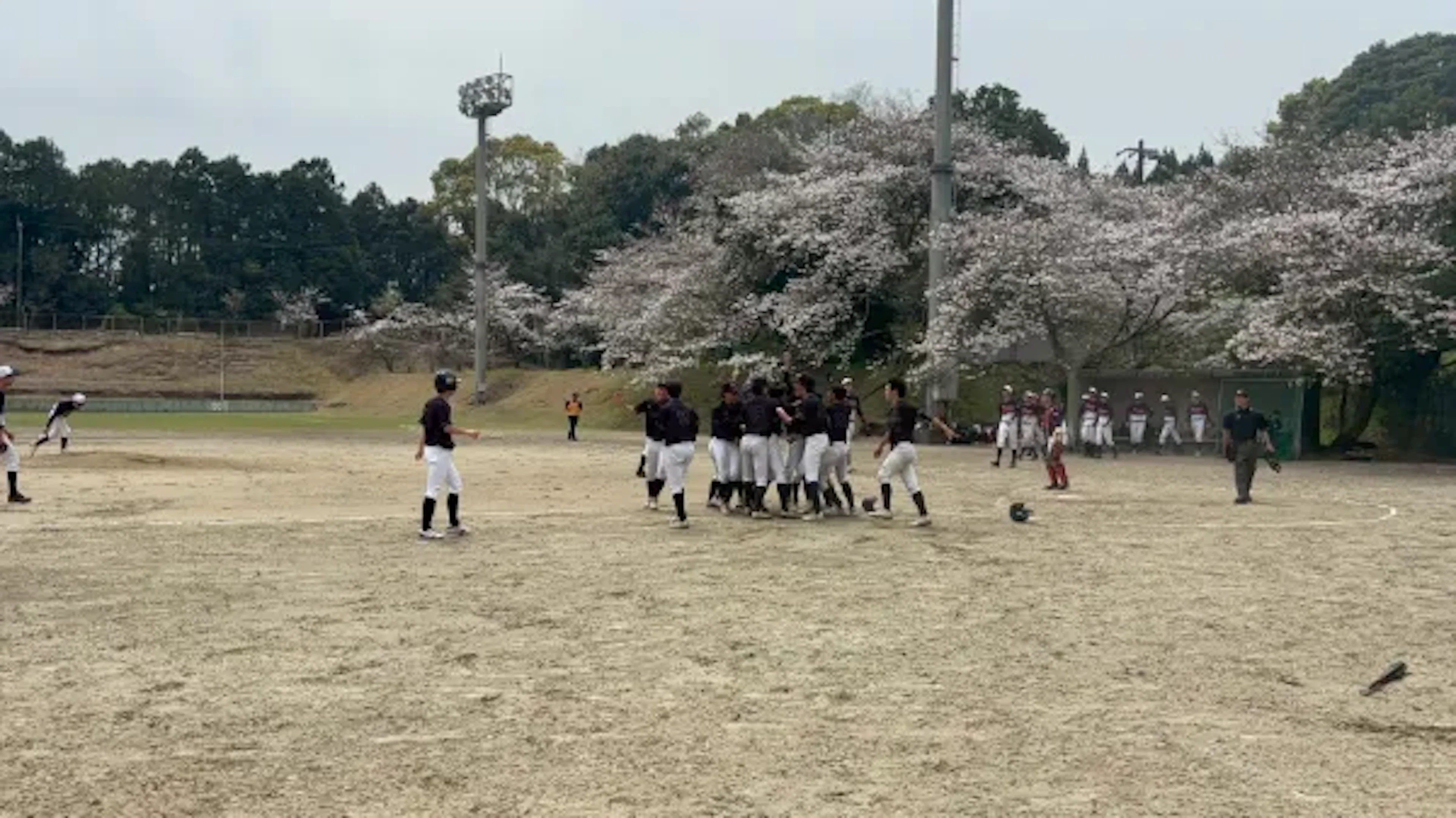 準硬式野球部 2026年版