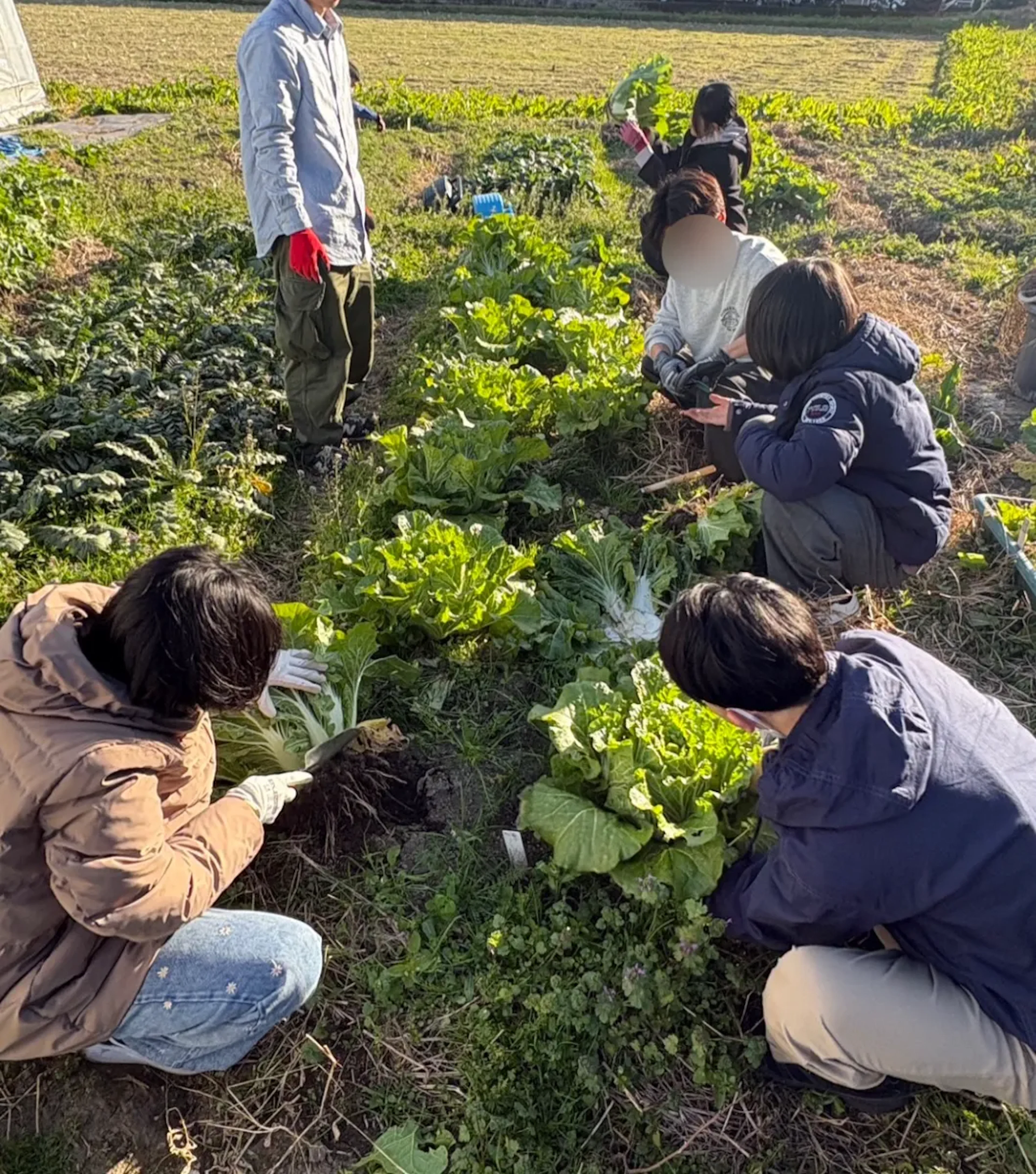 園芸研究会 2026年版