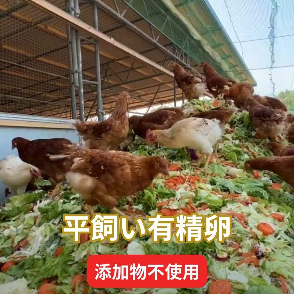 とれたて純国産平飼い自然卵（有精卵）全て国産・添加物／保存料不使用【あおぞら養鶏場】｜24個入り