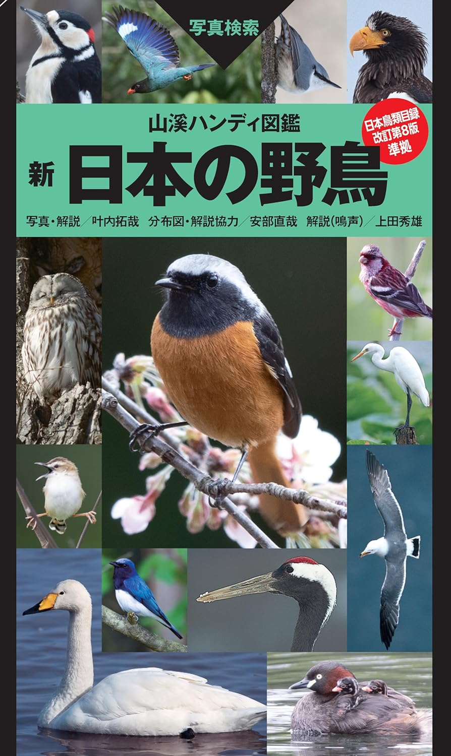 山溪ハンディ図鑑 新 日本の野鳥