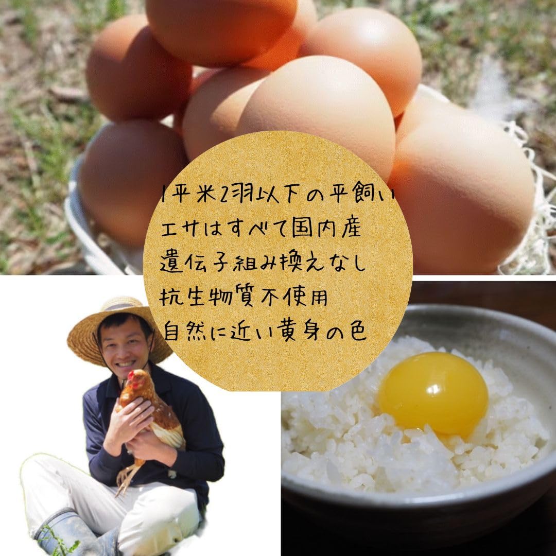 とれたて純国産平飼い自然卵（有精卵）全て国産・添加物／保存料不使用【あおぞら養鶏場】｜24個入り