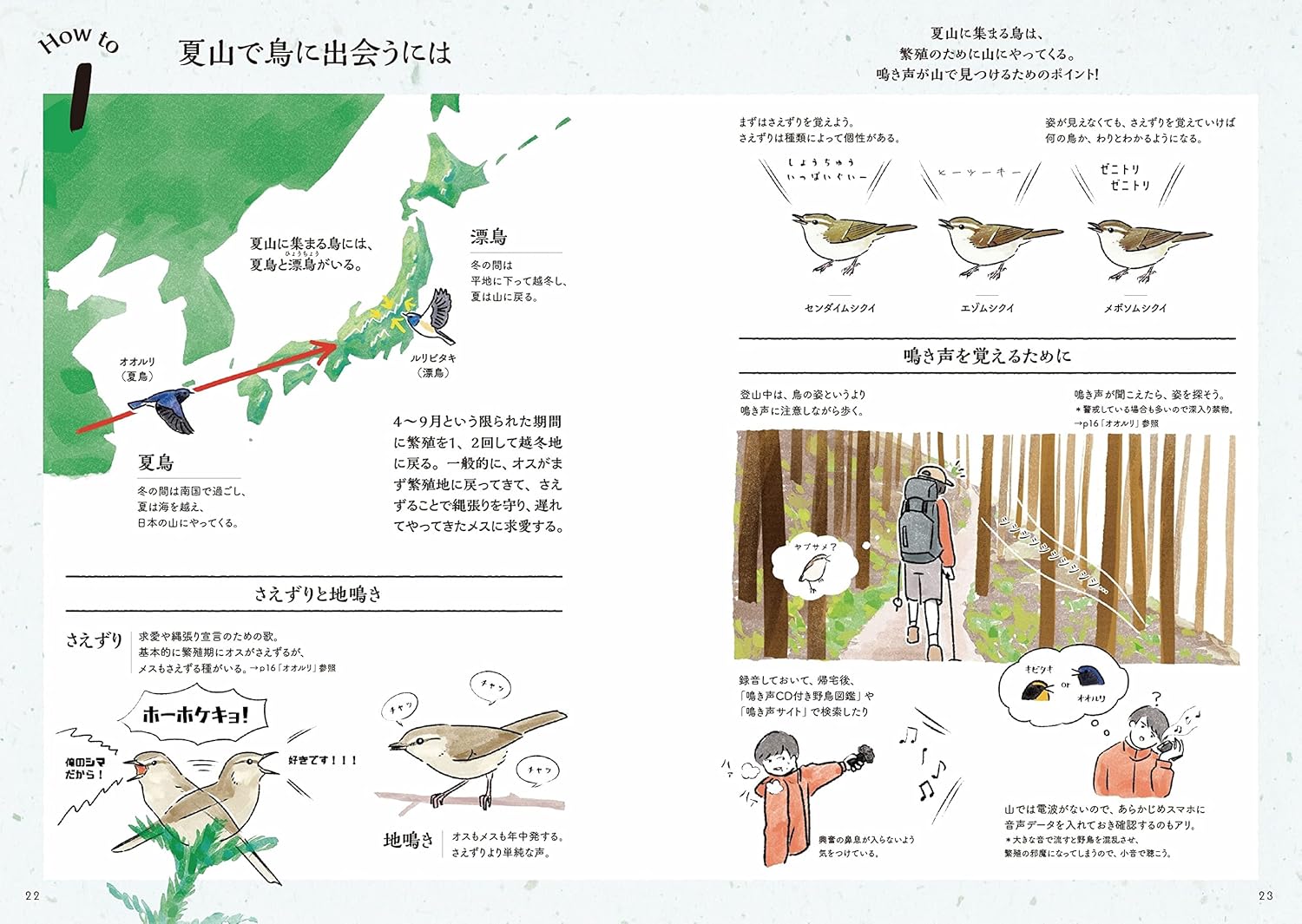 なつのやまのとり