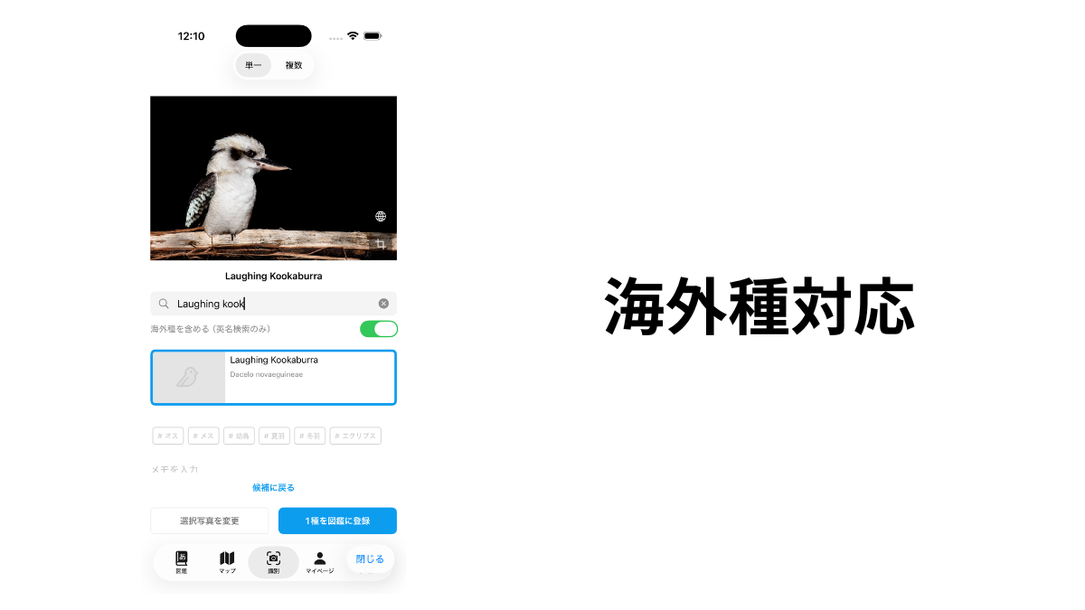 海外種対応、識別時の解説機能などをリリース
