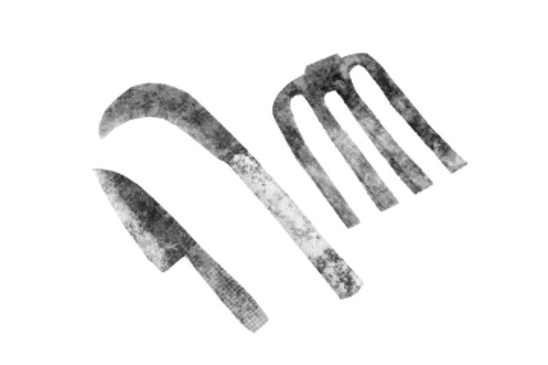 Tosa knife