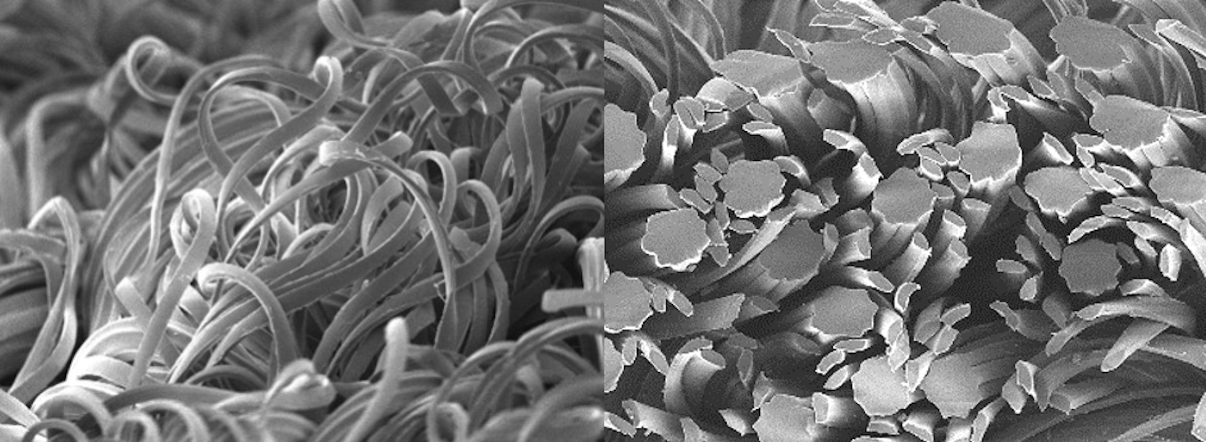 <a>繊維の複雑な凹凸により、空気層を形成し、撥水性を確立。</a>（左）テキスタイル表面、（右）糸束断面