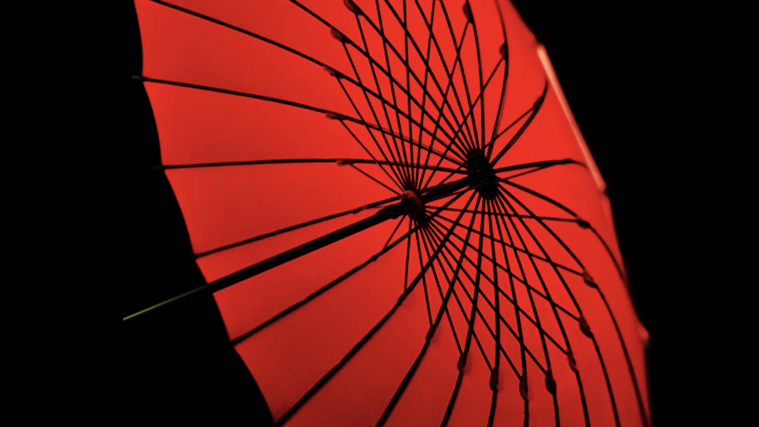 福井洋傘が目指す“世界で一番やさしい傘”