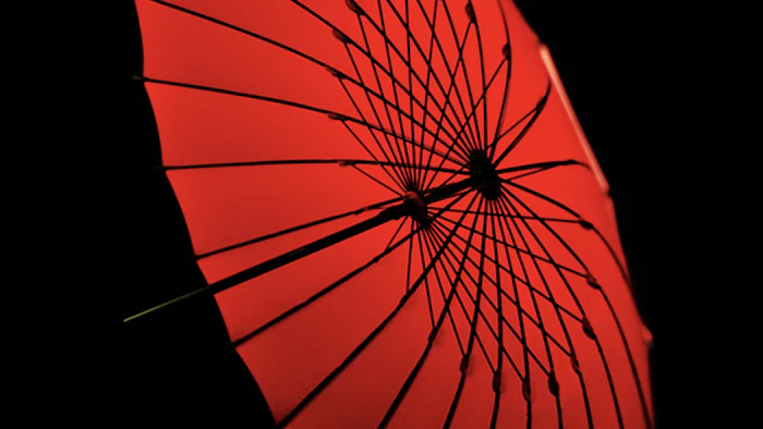 福井洋傘が目指す“世界で一番やさしい傘”