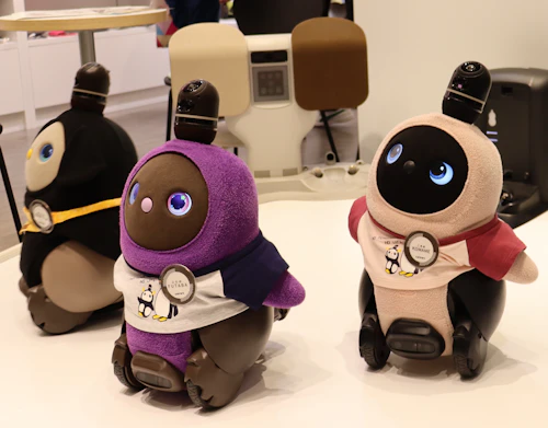 The Role of "Kawaii" in Robots: Cultural Sociologist Megan Catherine Rose