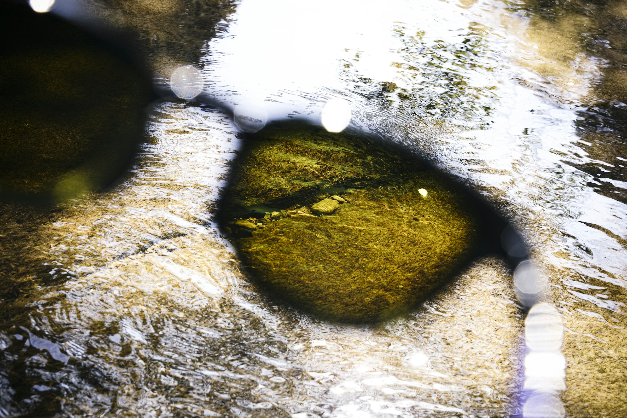 水中の輪郭をくっきり捉える、フィッシング向けグリーンレンズの視界