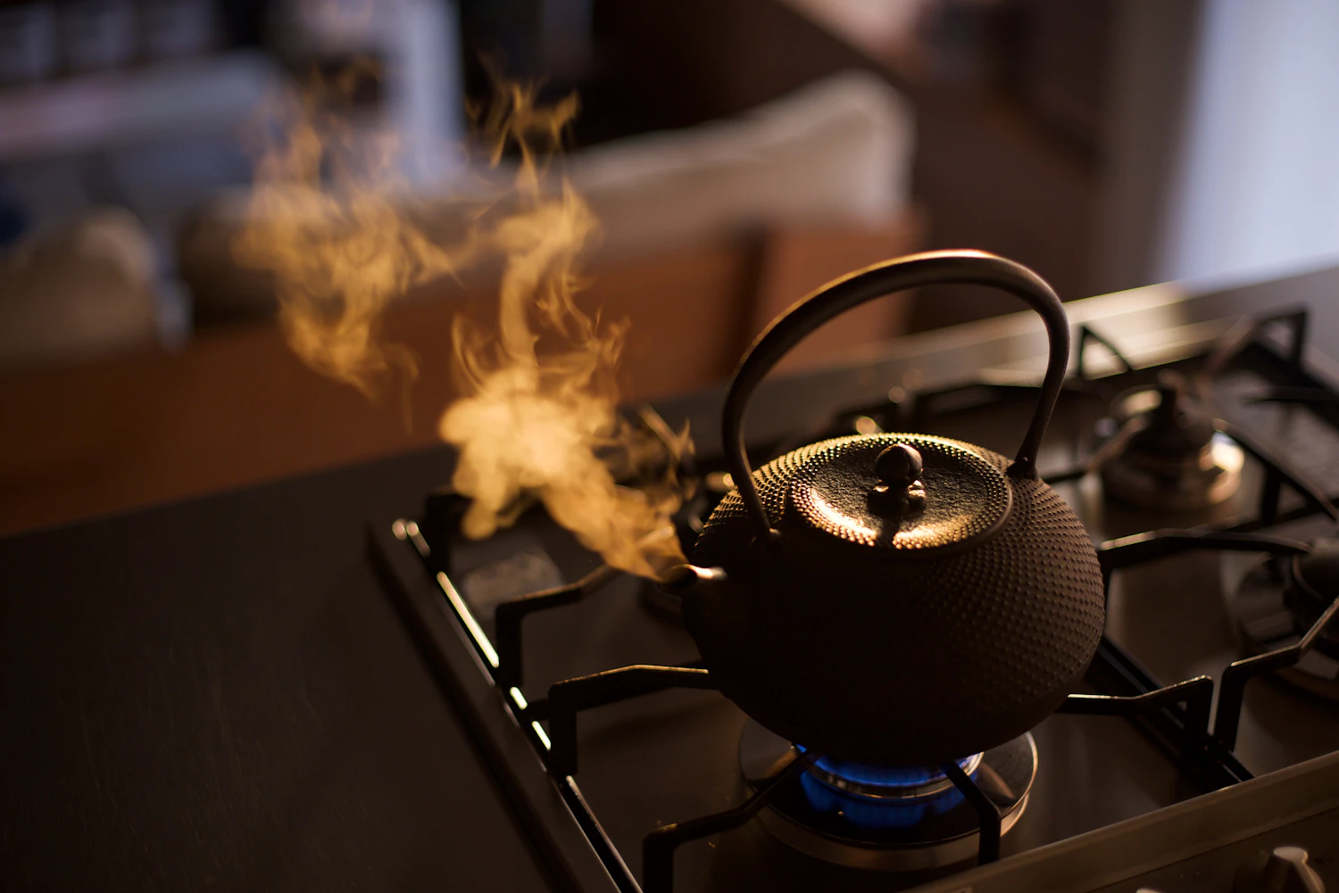 なぜ人は鉄瓶を「育てる」のか？ 南部鉄器と現代の「丁寧な暮らし」