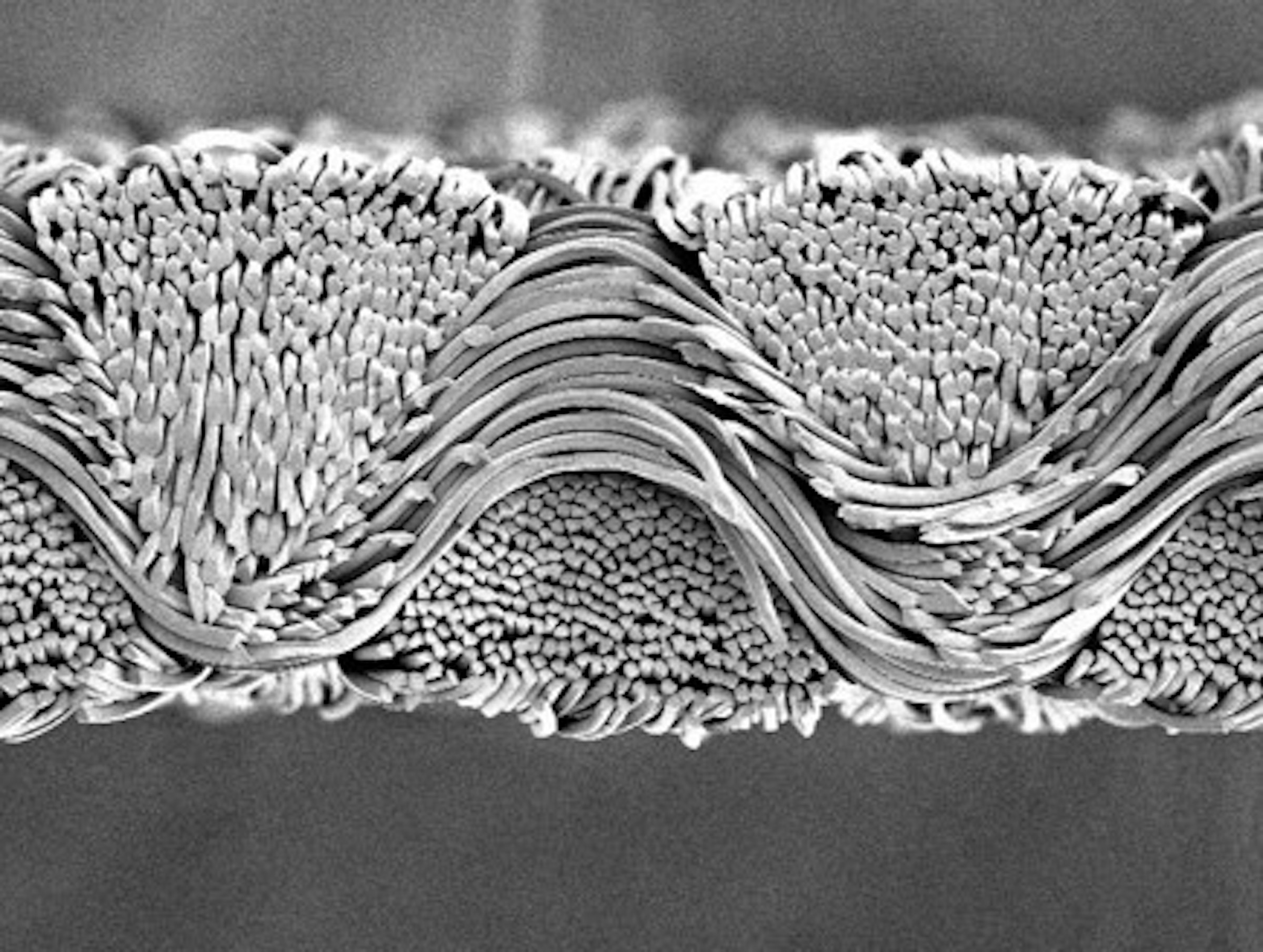 「uts-FIT®」は超極細微細捲縮によって、ストレッチ性と生地表面の凹凸により、さらりとした触感を実現。