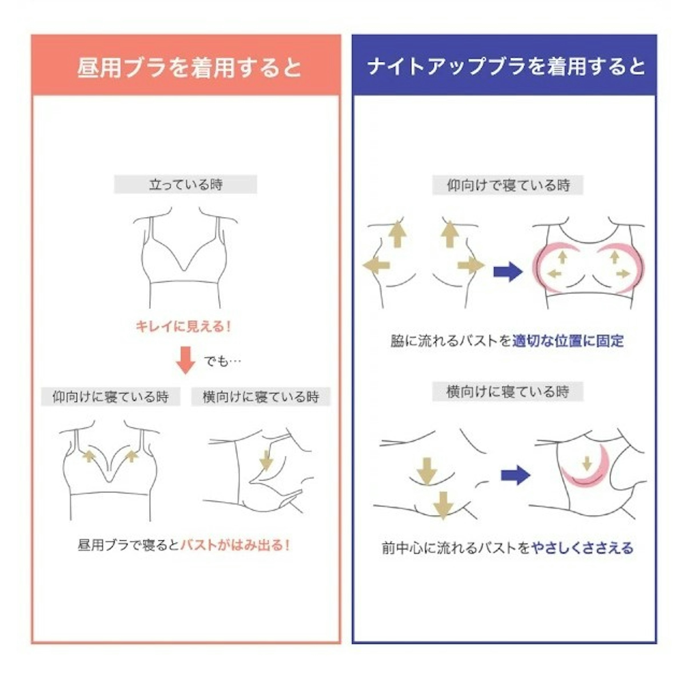 日中用のブラジャーとナイトブラでは役割が異なる