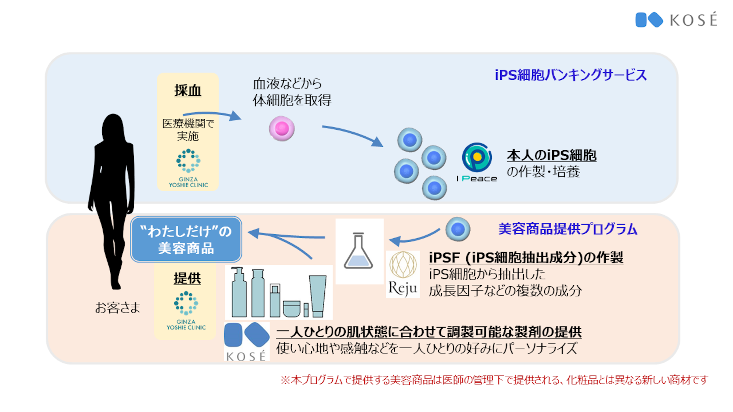 iPS細胞の作製に関しては「アイ・ピース社」、細胞の培養と成分の抽出に関しては「レジュ社」と技術提携。採血や美容商品の提供は、医療機関を通じて行われる。<br>資料提供／コーセー