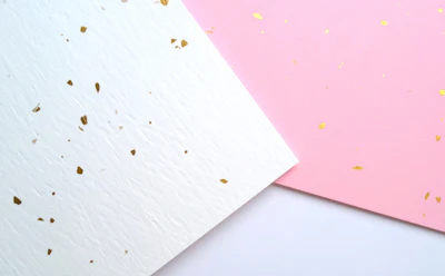 越前和紙、1500年の歴史を育んだ土地の必然、清流と信仰が紡いだ産地の物語