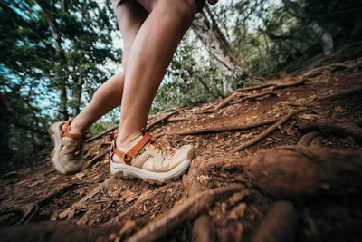 culture