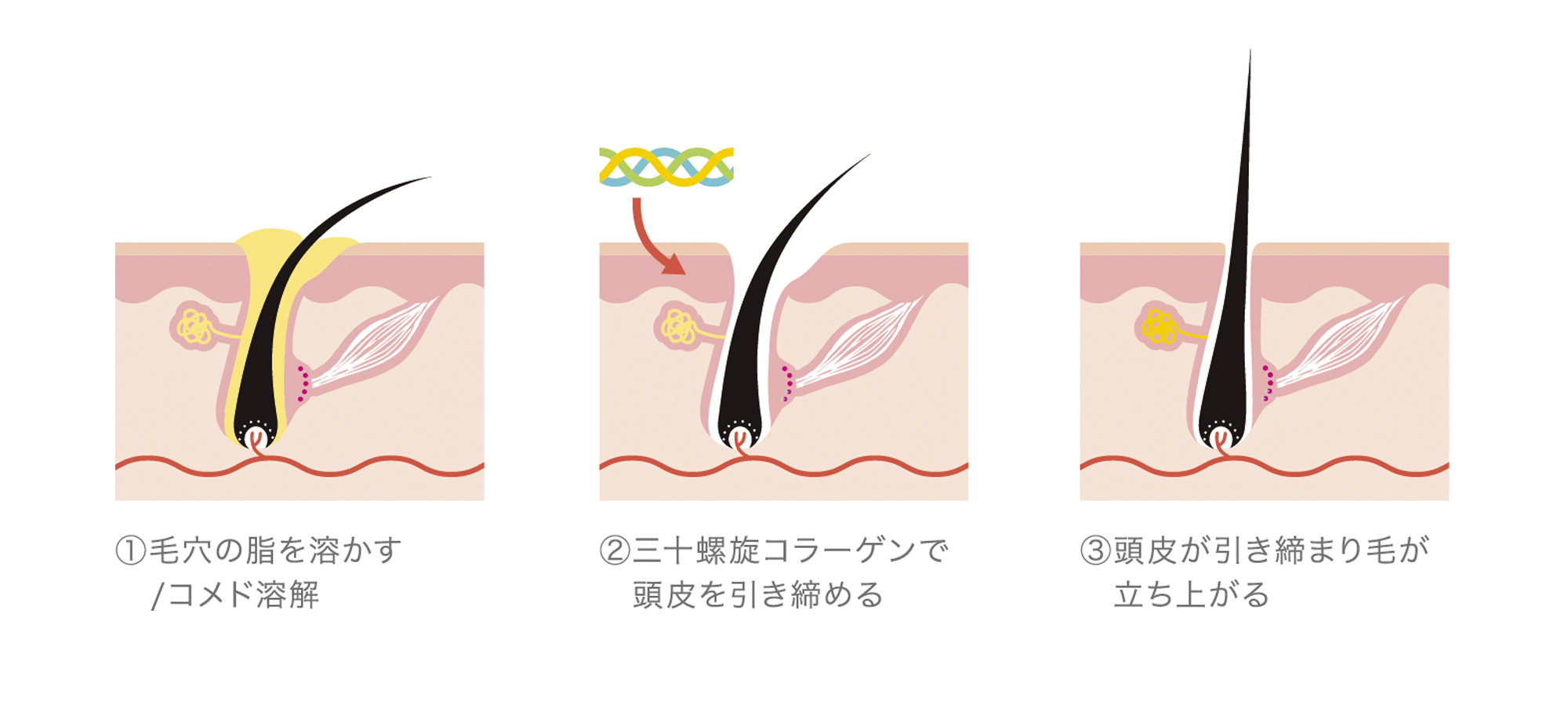 NMN、CBD、ヒト幹細胞、コラーゲン etc. 豪華すぎる「頭皮のための美容