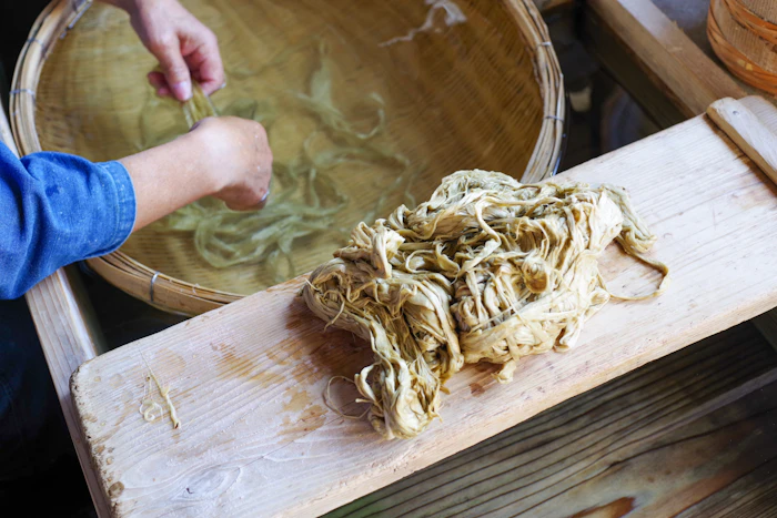 越前和紙の素材学：楮、三椏、雁皮が織りなす個性と産地が挑む原料の未来