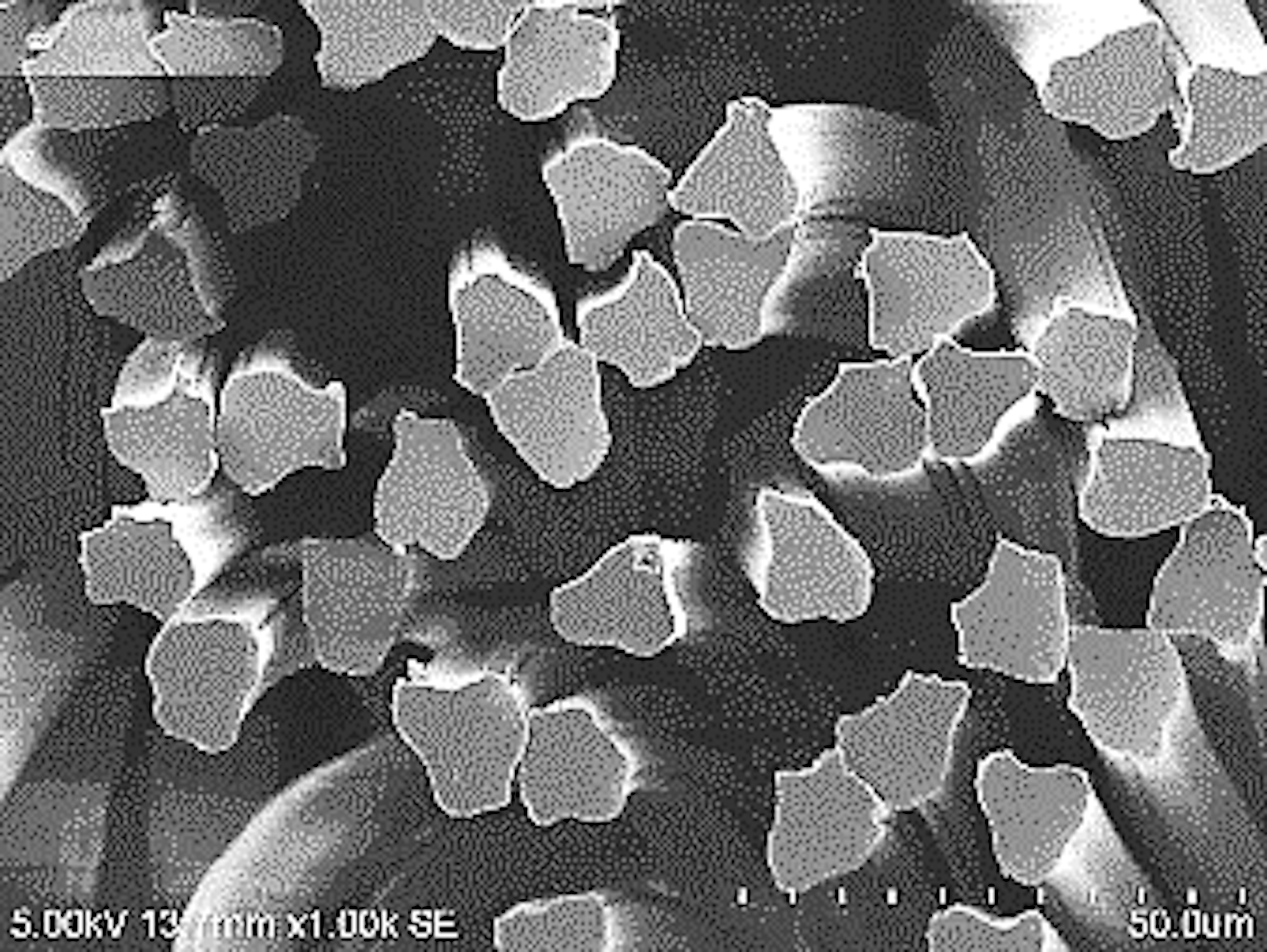 「Kinari™」は繊維が作り出す微細空隙によって反射面を分散し、美しい光沢を生み出す。