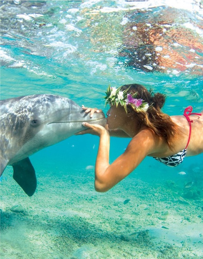 平成から令和へ、ROXY（ロキシー）が紡ぐ世代を超えたその魅力