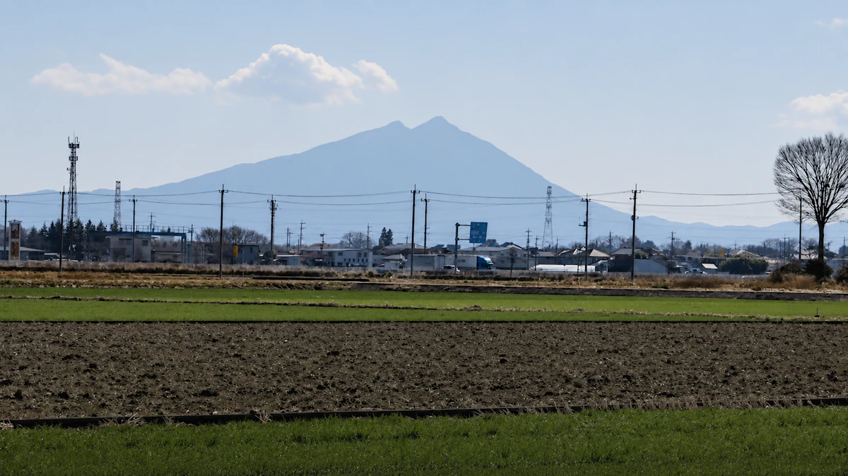 画像協力：茨城県本場結城紬織物協同組合