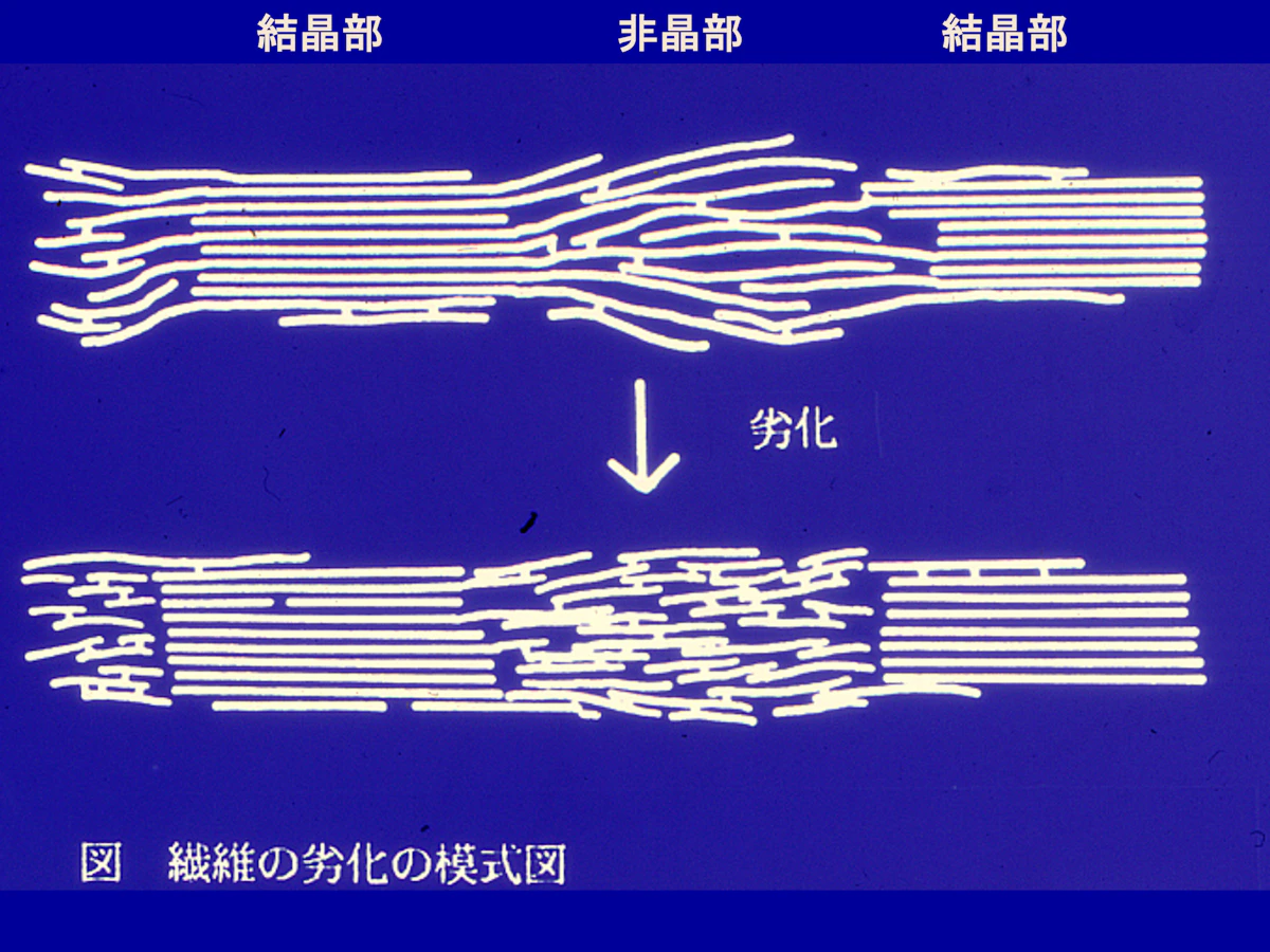 繊維の劣化の模式図。結晶部と非晶部があり、劣化は非晶部で進む（画像提供：稲葉政満先生）