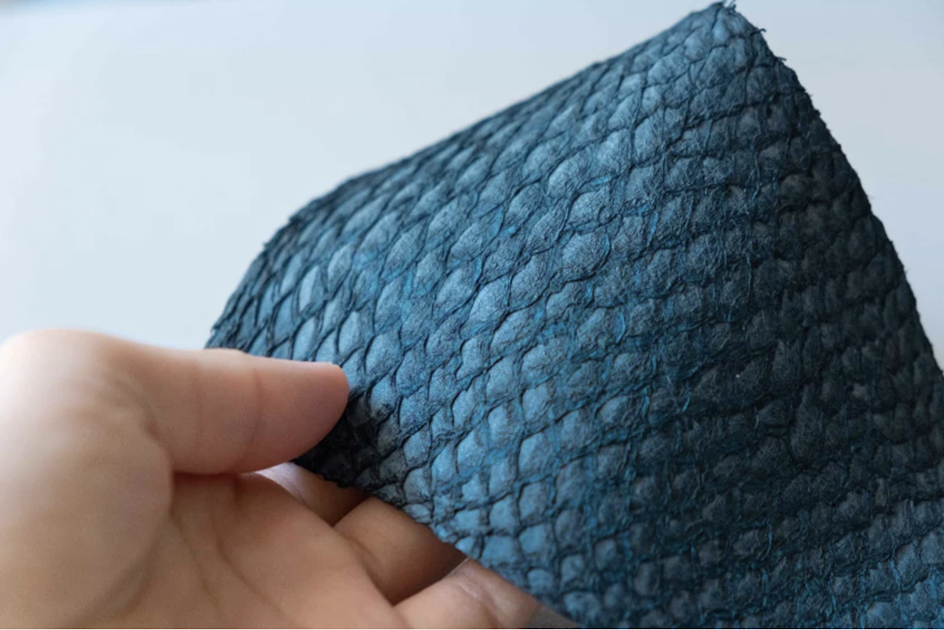 From Fashion Accessories to Lampshades & Art Pieces – The Potential of ...