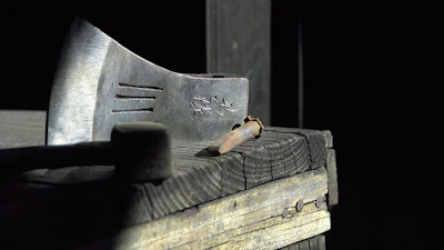 【土佐打刃物の基本を知る】400年の歴史を宿す、高知の風土が生んだ用の美に迫る
