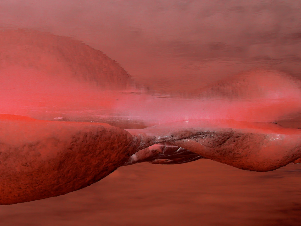 作品名：Body as Landscape - Landscape as Body.<br>（身体としての風景 - 風景としての身体）