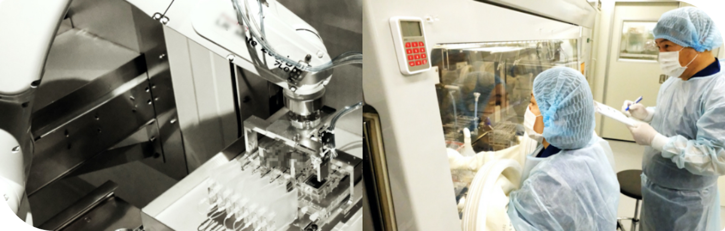 「アイ・ピース社」は、ヒトiPS細胞の樹立を報告した論文の第2著者でもある田邊剛士氏が設立した企業。米国FDAと日本の厚生労働省が定める基準を満たしたラボで、厳密な管理のもと医療グレードのiPS細胞を製造している<br>資料提供／アイ・ピース社  