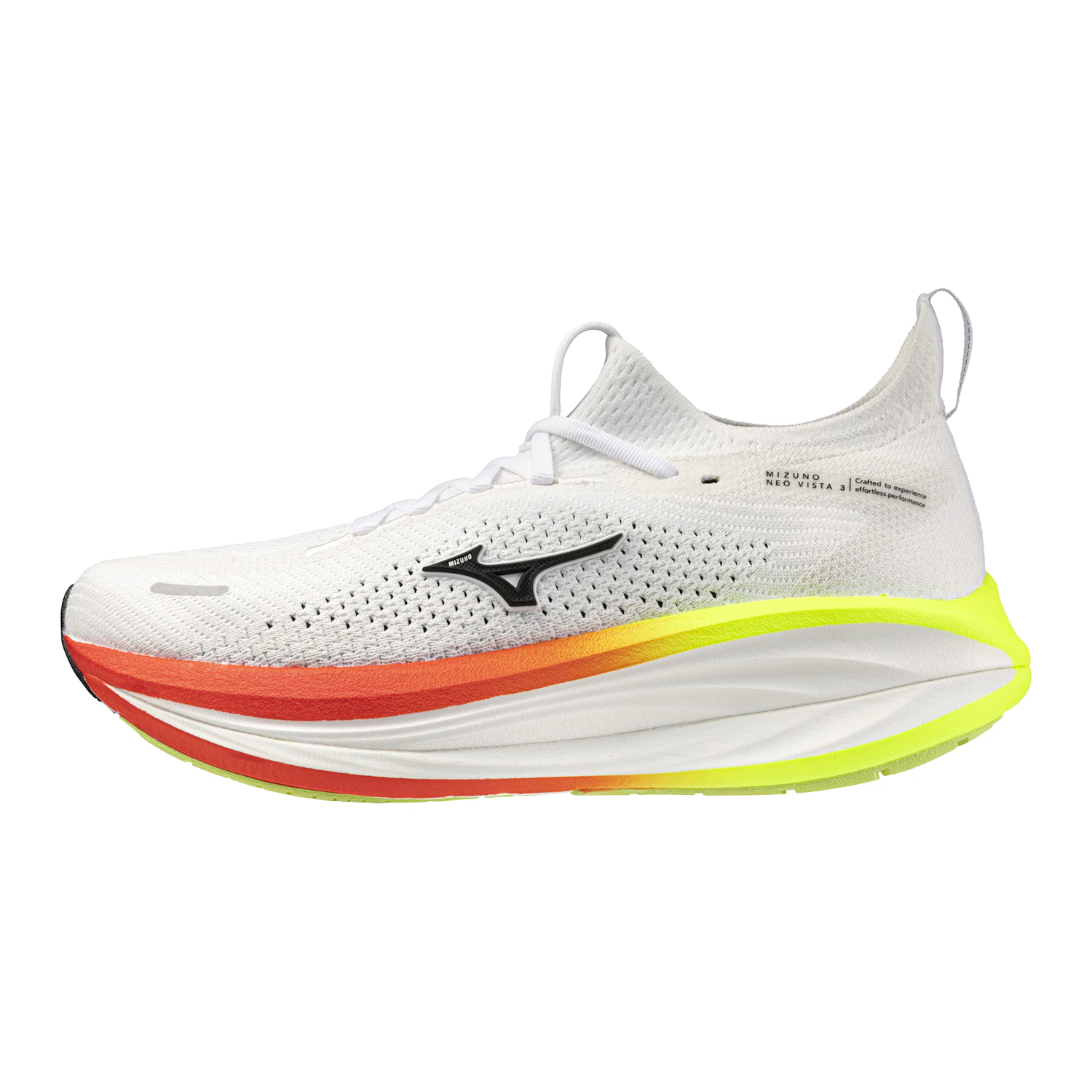 Unleashing the Potential of Mizuno