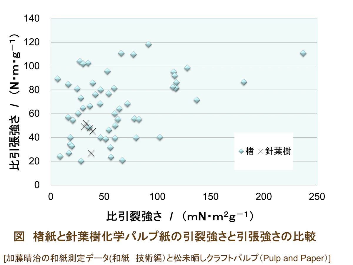 楮紙と針葉樹化学パルプ紙（今の洋紙）の、引裂強さと引張強さの比較<br>楮紙は紙によって強さの幅が大きく、化学パルプの紙では届かない強さのものも多い（画像提供：稲葉政満先生）