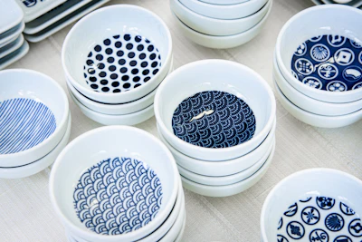 Understanding the Basics of Hasami-yaki: What is the Appeal of this Stylish and Versatile Porcelain?