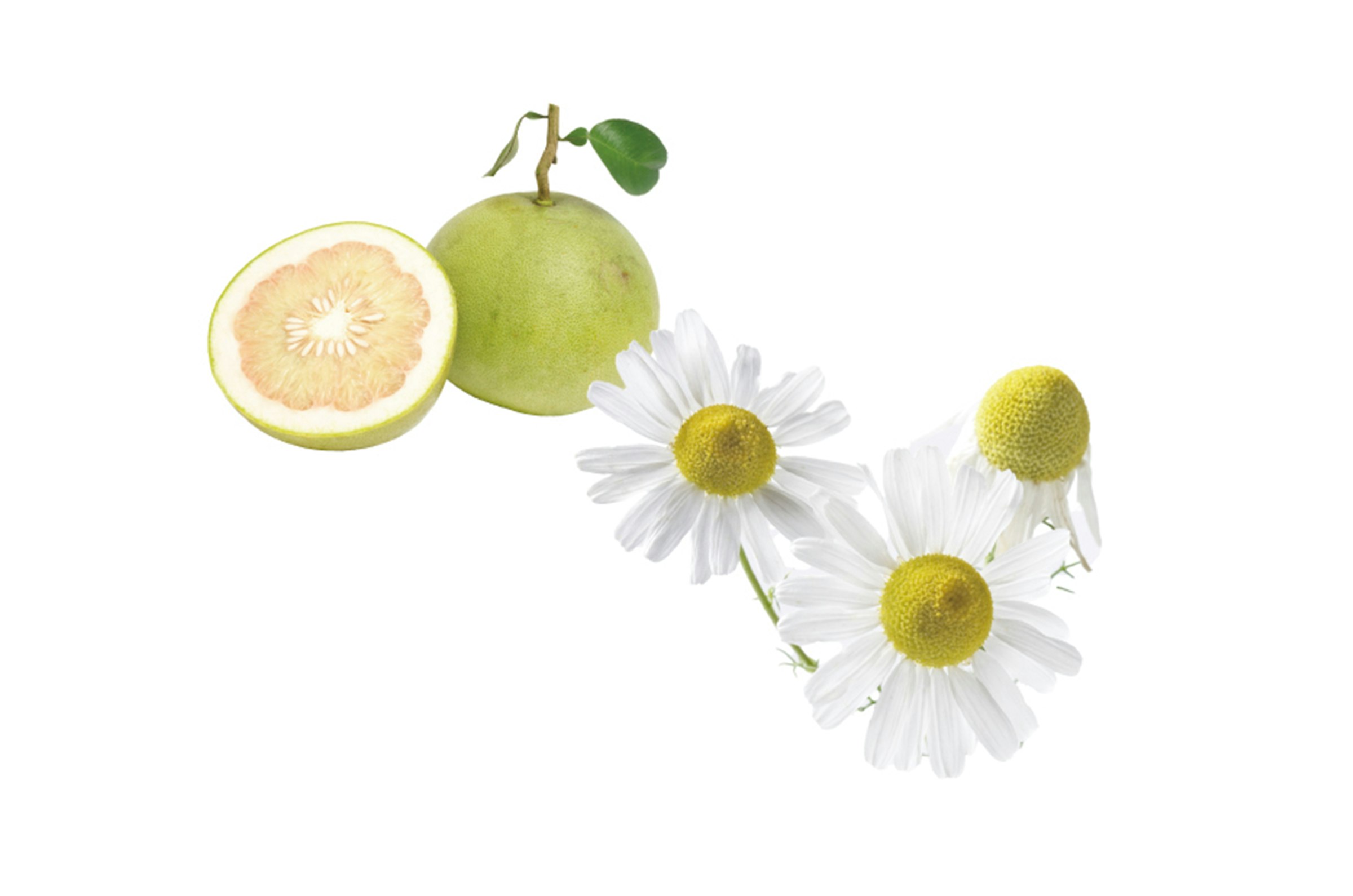 ベルガモットとローマカミツレ