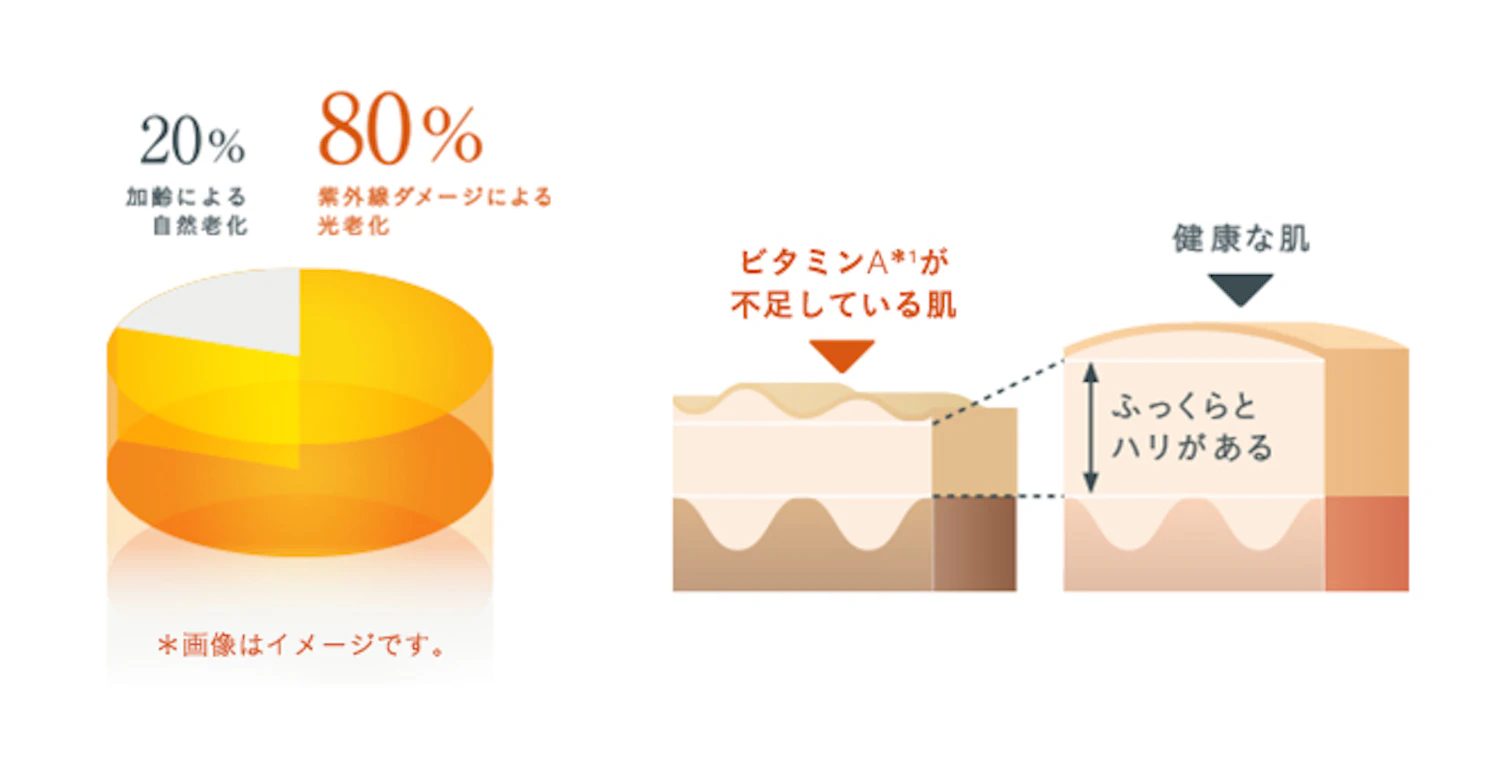 ビタミンAは紫外線によって壊れていく性質のため、常に補っていくことが大切だ