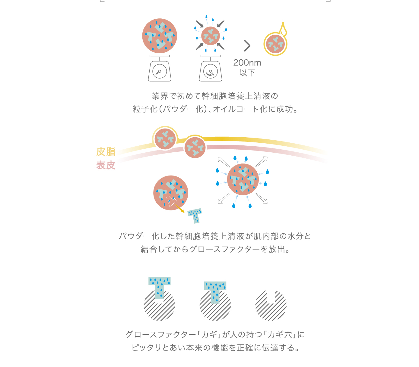 NMN、CBD、ヒト幹細胞、コラーゲン etc. 豪華すぎる「頭皮のための美容