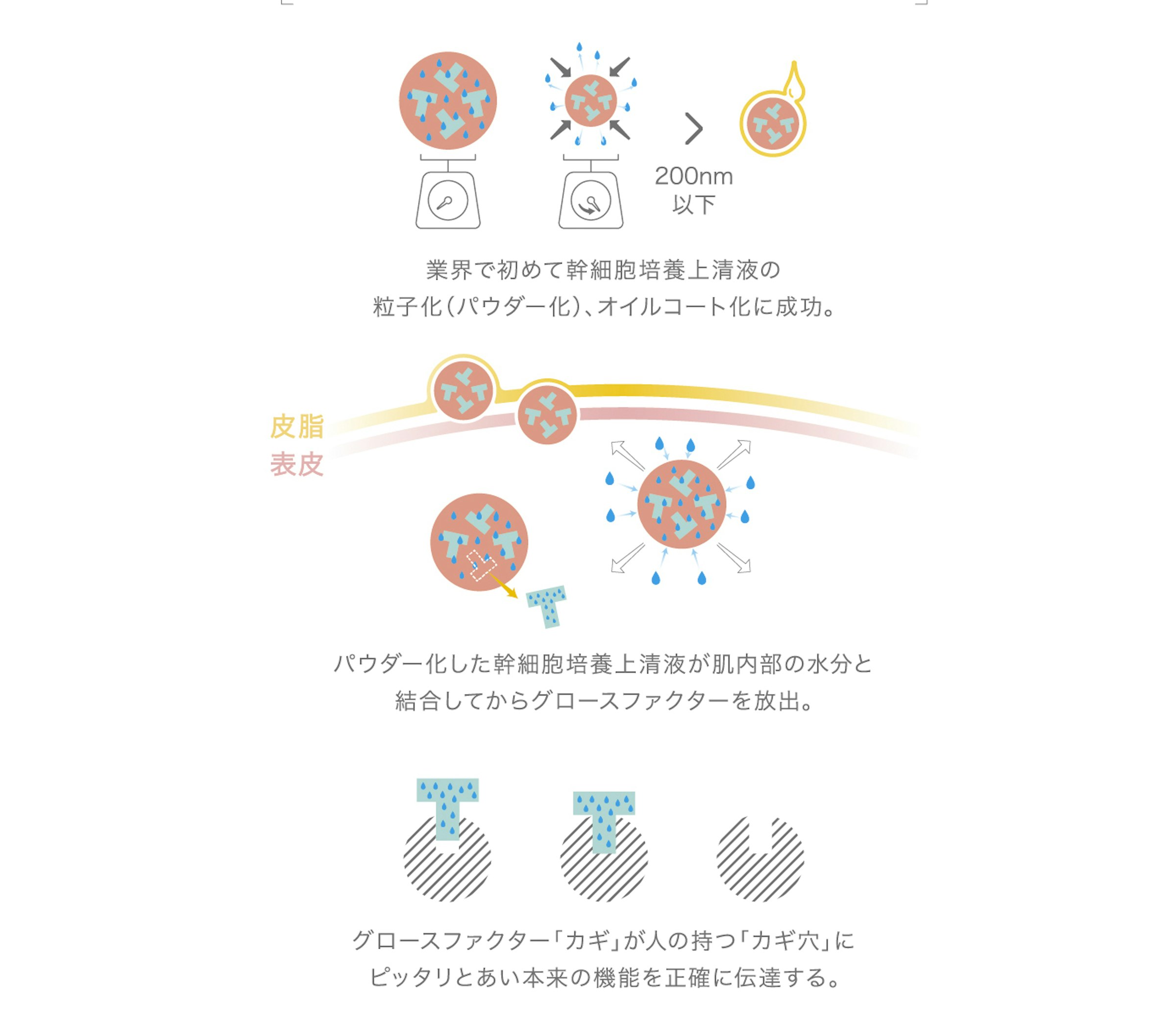 画像: null