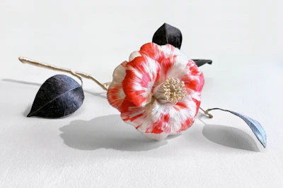 日常の美を縫い映す立体刺繍：家長百加が放つエクレクティックな魅力