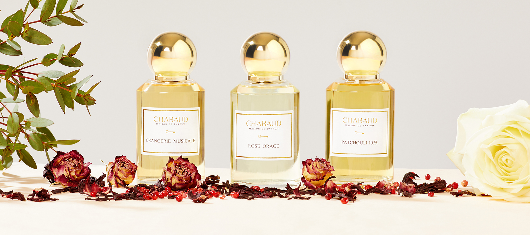 日本未上陸】ただ甘いだけじゃない——南仏メゾン「CHABAUD（シャボー