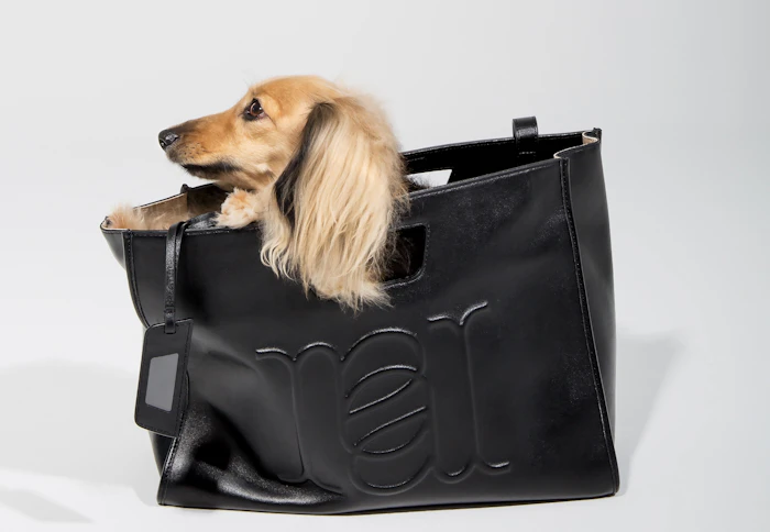 Not Yet in Japan: How Belgian Bag Brand ANNALOCH Is Shaping the Future of Craftsmanship with "Recycled Leather"
