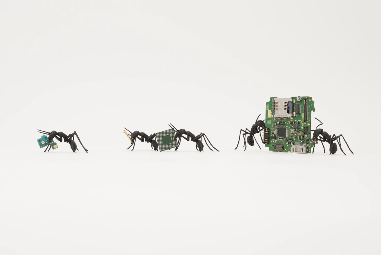 ①.JPG?w=1600&h=1200&fit=crop&