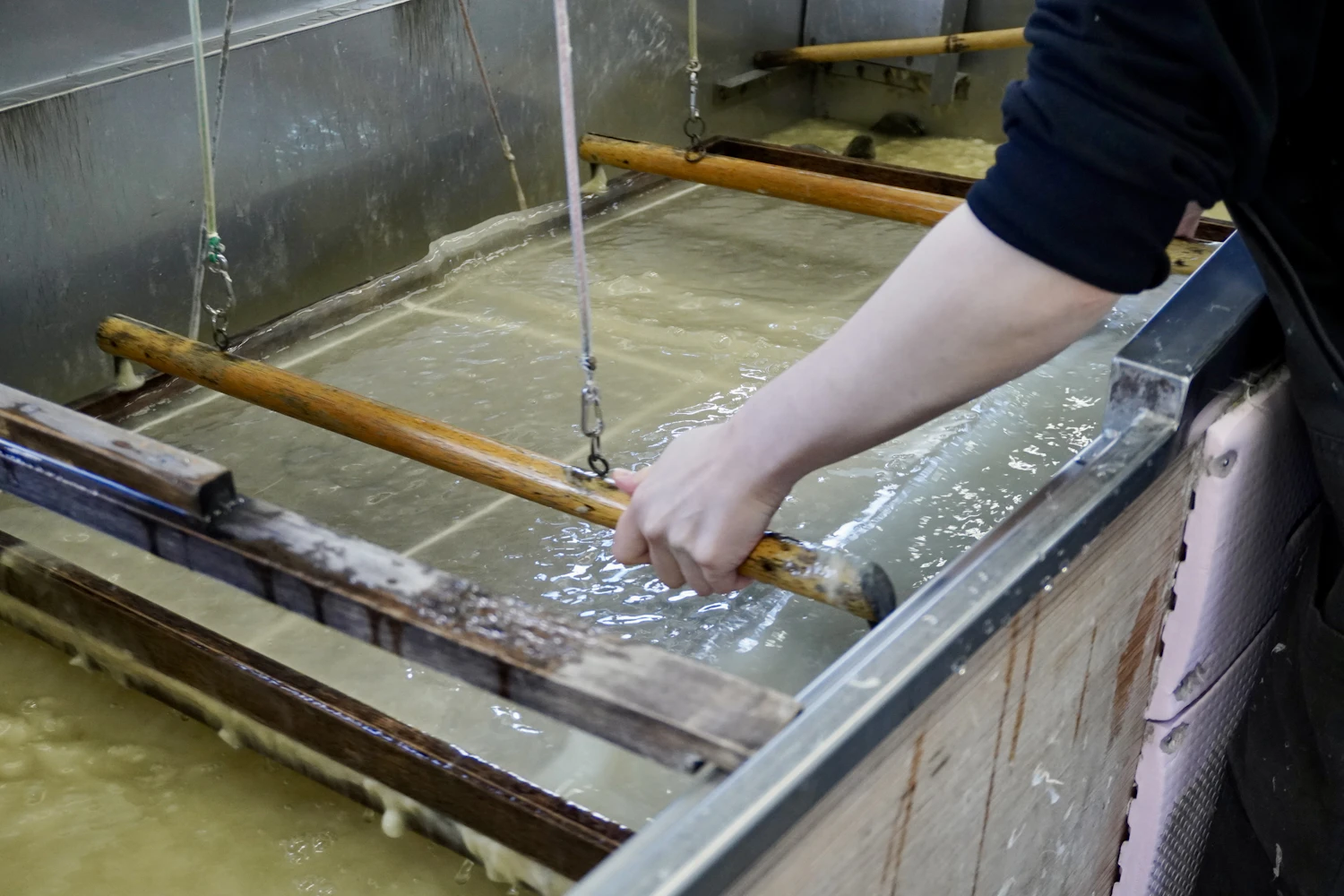 300年続く名尾手すき和紙：梶の木が支える和紙文化