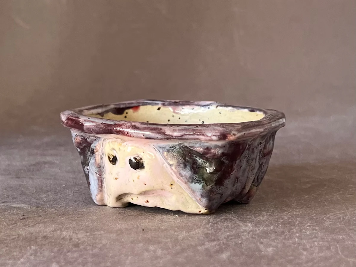 The Perspective of a Swedish Bonsai Pottery Craftsman Who Lives in Harmony with Trees（Thor Holvila）