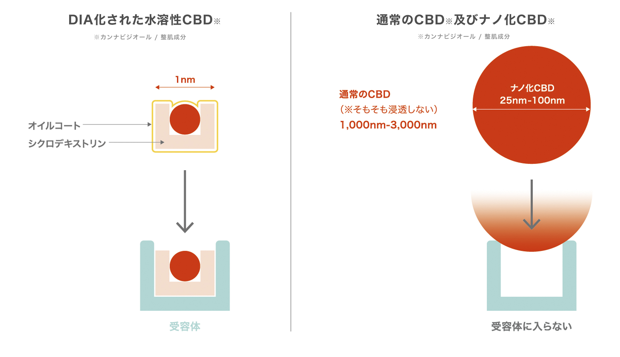 NMN、CBD、ヒト幹細胞、コラーゲン etc. 豪華すぎる「頭皮のための美容