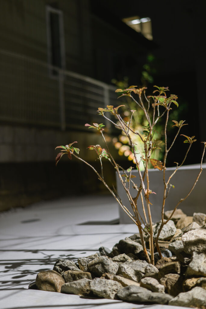 横浜市 注文住宅 S邸 外構 (6)