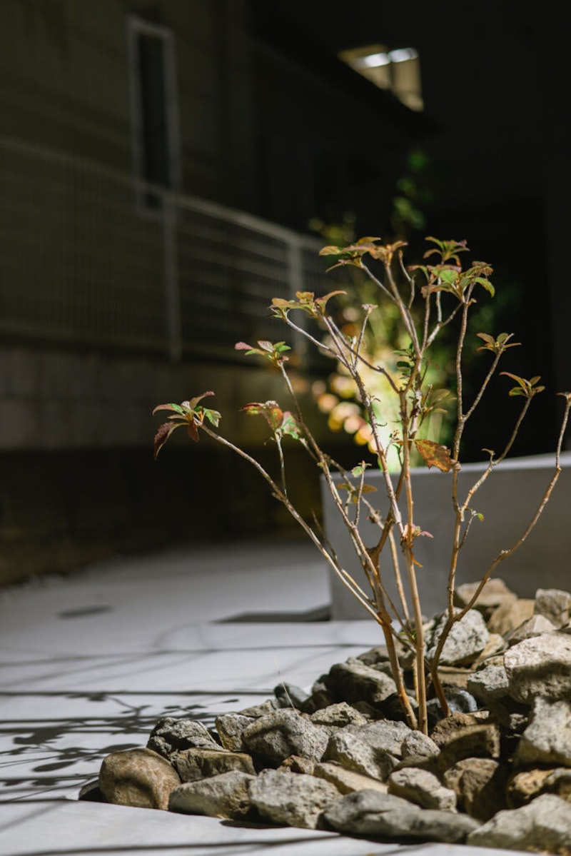 横浜市 注文住宅 S邸 外構 (6)