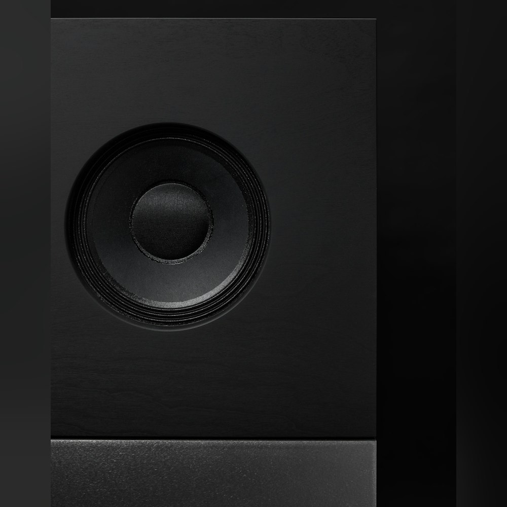 <p>Celestionの同軸ドライバーとHypexパワーアンプを搭載。42Hz〜20kHzの広い周波数特性で様々なジャンルの音楽再生に対応できる。</p>