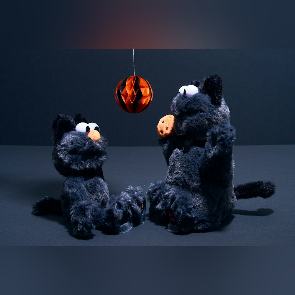 <p>ハロウィン限定のエルモとクッキーモンスターのぬいぐるみ。黒猫の仮装で、オレンジの鼻と足裏の刺繍がアクセント。ふわふわの手触りで、インテリアやギフトに最適。</p>