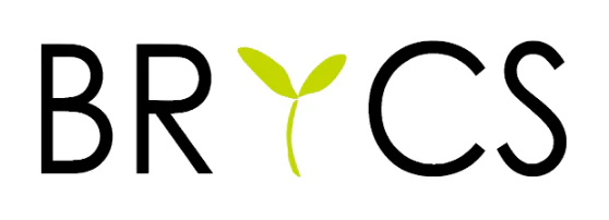 BRICS