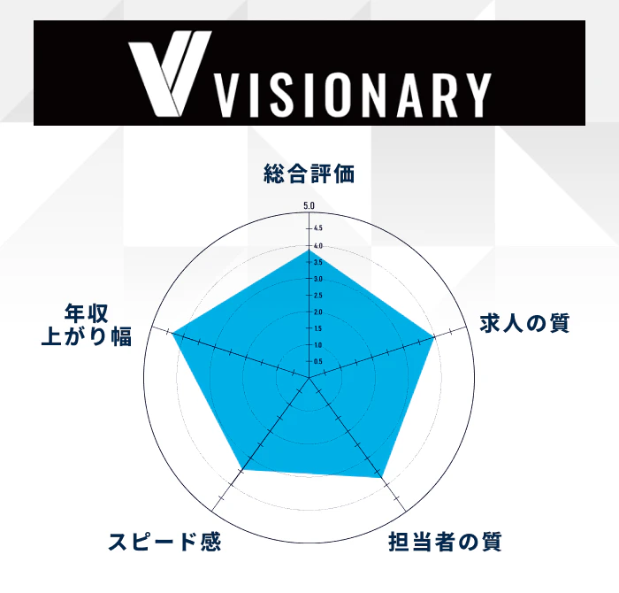 ヴィジョナリーの評価