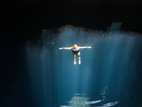 メキシコ・ユカタン半島の泉（セノーテ）を撮影した神秘の映像 映画「セノーテ」上映のサムネイル